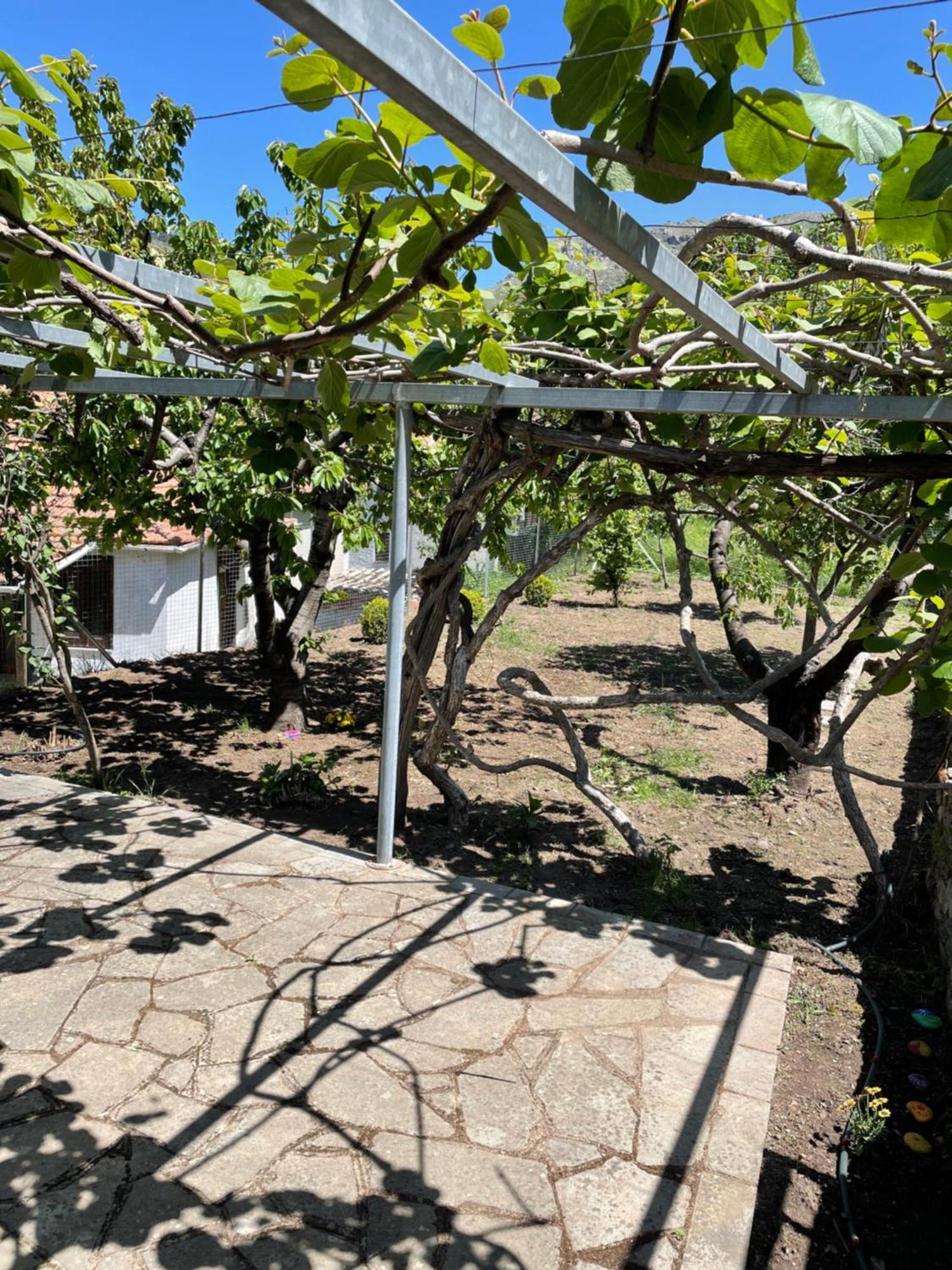 Lila'S Guest House Mikros Prinos Ngoại thất bức ảnh